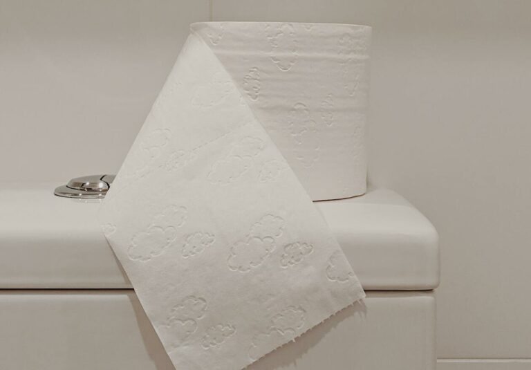 Klopapier auf einem Toilettenkasten