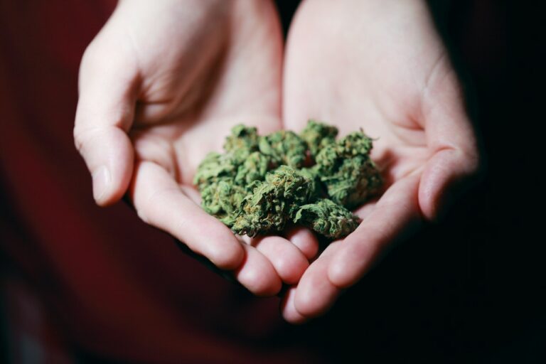 Marihuana in den Händen eines Menschen