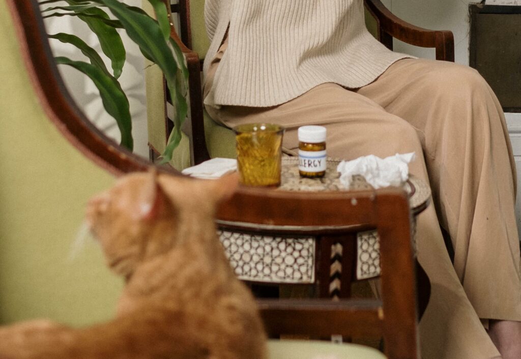 Katze und Tabletten und Taschentuch im Hintergrund