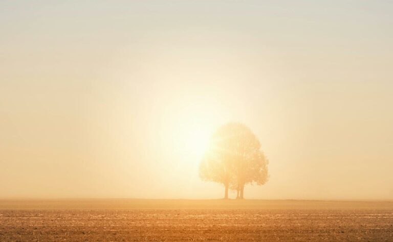 Ein Feld und im Hintergrund geht die Sonne unter